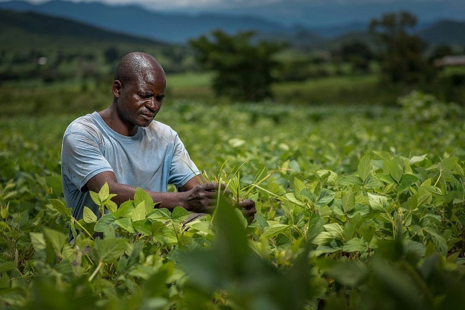 Farming Made Easy With PNL Smart Farming. An Image Showing An Africa Farmer At The Farm. Image from unsplash photo