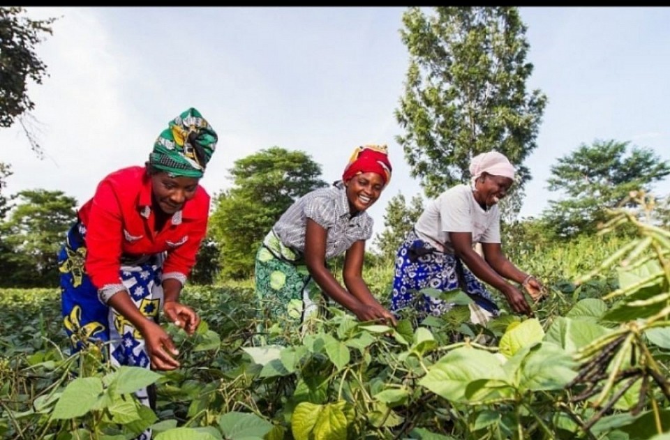 PNL showcasing Africa Women Smart Farming System. Photo Credit: Unsplash